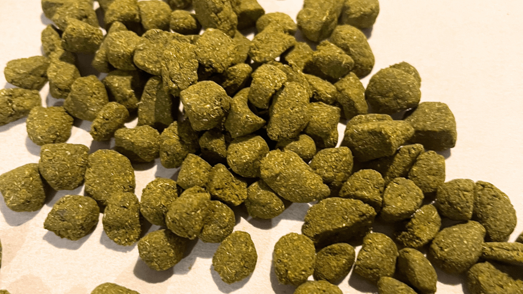 Herbal Morning Start Tablets. Ginger, Moringa, Turmeric, Black Pepper, Honey. Weight loss, Anti-Inflammatory