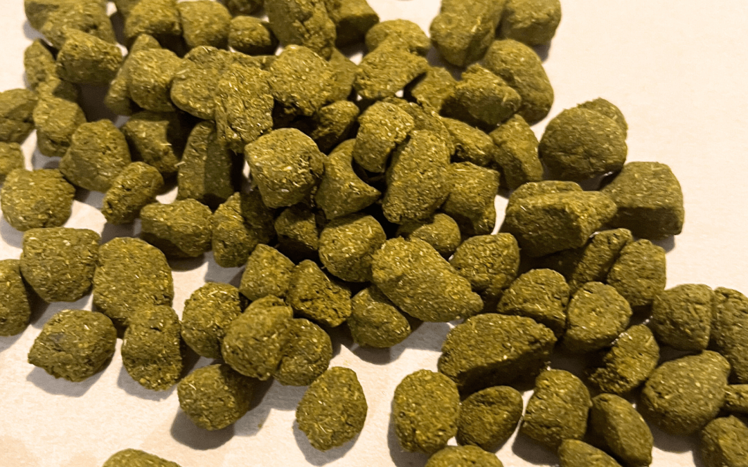 Herbal Morning Start Tablets