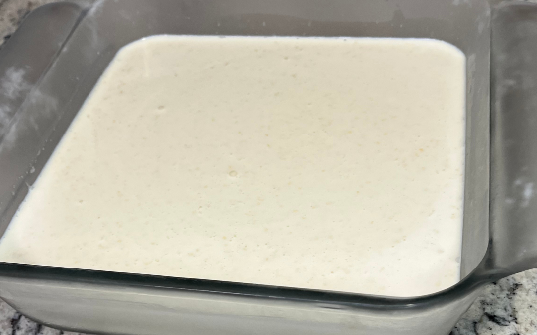 Vanilla Honey Panna Cotta
