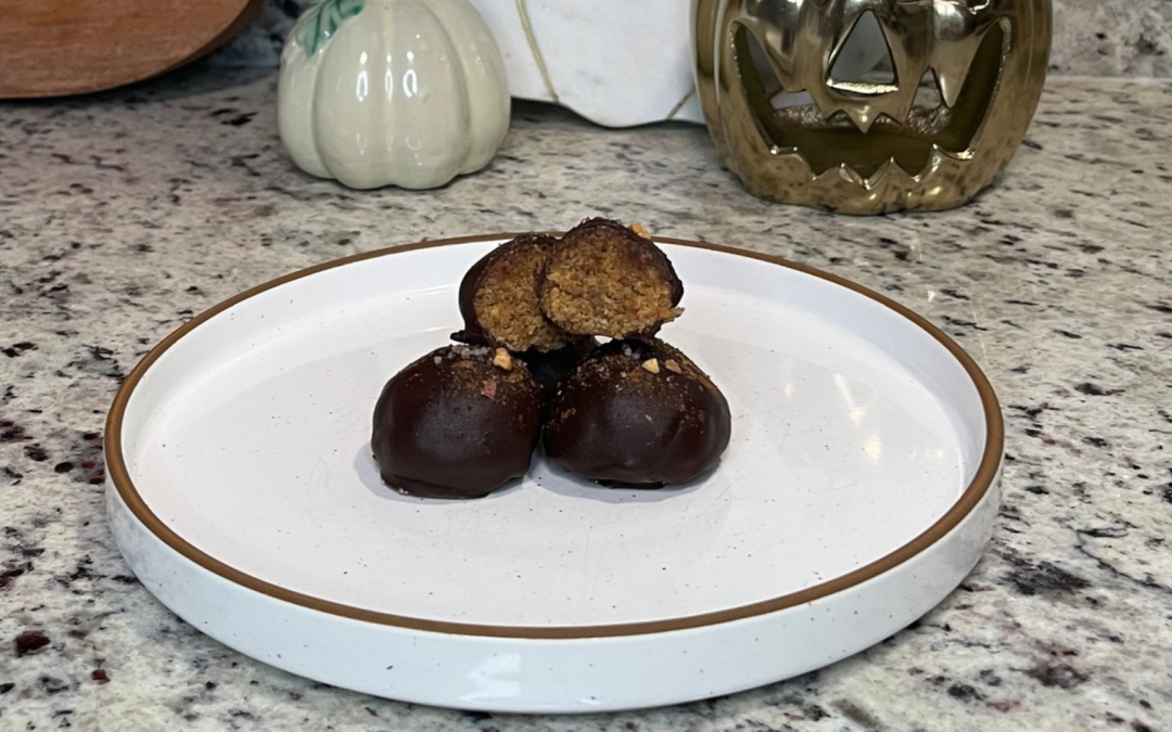 Apple Chocolate Protein Bites